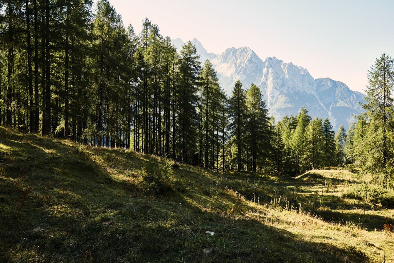 Protection de l’environnement