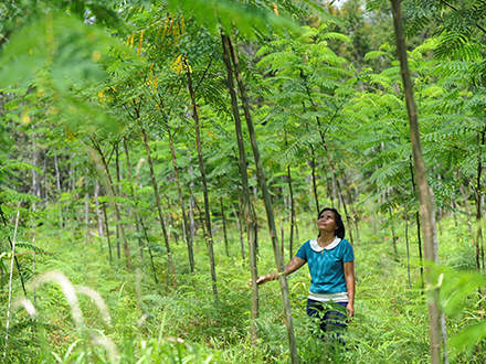 : 1 million d'arbres pour BornéoEn tant qu'entreprise responsable ancrée dans la sylviculture, STIHL s'engage pour une utilisation durable des ressources forestières dans le monde. En soutenant le projet de reboisement « 1 million d'arbres pour Bornéo » mis sur pied par l'organisation à but non lucratif Fairventures Worldwide, STIHL contribue par exemple à la protection de la forêt tropicale en Indonésie. L'une des particularités du projet est l'implication active de la population locale afin d'exploiter les zones forestières dégradées de manière sociale, écologique et durable et de protéger ainsi la forêt primaire.STIHL apporte dès lors sa contribution à ce projet en soutenant Fairventures avec des moyens financiers, des dons d'équipement et des connaissances et contribue ainsi à la protection des forêts tropicales de l'île de Bornéo. En offrant des machines STIHL – des débroussailleuses aux tarières en passant par les tronçonneuses, avec chaque fois l'équipement de protection approprié – et une formation permettant aux utilisateurs de bien utiliser ces outils, STIHL aide à la mise en place d'une exploitation plus efficace et durable des surfaces. L'un des effets corrélatifs positifs, c'est, d'une part, le fait que, grâce à l'utilisation des machines, le travail agricole devient plus attrayant, ce qui réduit l'exode rural. Et, d'autre part, l'utilisation de débroussailleuses permet de limiter les pulvérisations de produits phytosanitaires. Le projet consécutif « 100 millions d'arbres pour Bornéo », qui vise à développer encore plus largement l'approche agroforestière, est déjà dans les starting-blocks chez Fairventures – toujours avec STIHL comme partenaire.Vous trouverez de plus amples informations sur https://fairventures.org/.
